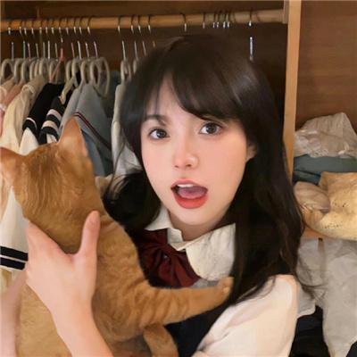 美声歌鸡